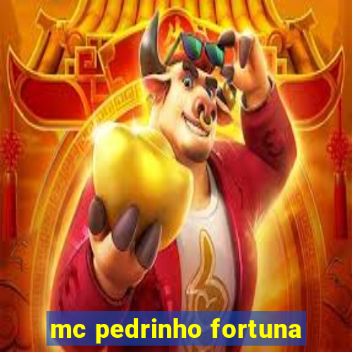 mc pedrinho fortuna