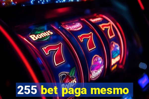 255 bet paga mesmo