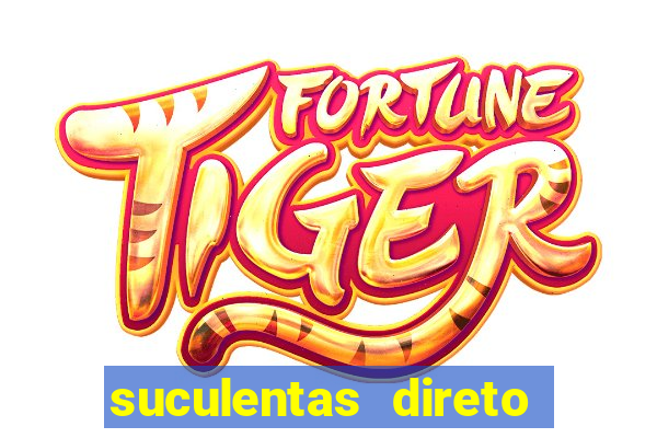 suculentas direto do produtor rs