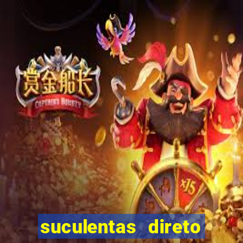 suculentas direto do produtor rs