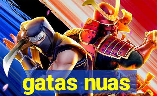 gatas nuas