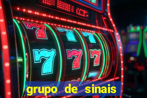 grupo de sinais fortune rabbit