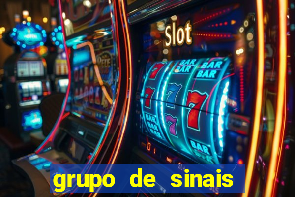 grupo de sinais fortune rabbit