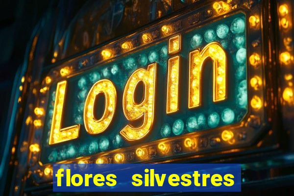 flores silvestres desbravadores desbravadores 25 flores silvestres e seus nomes