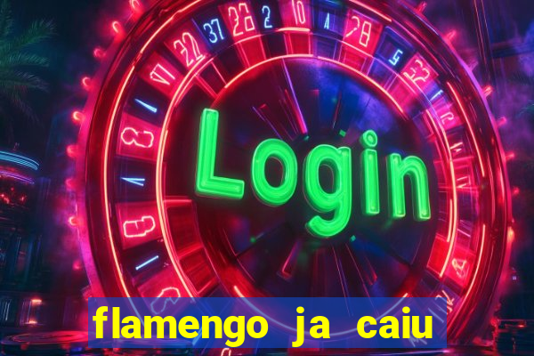 flamengo ja caiu para serie b